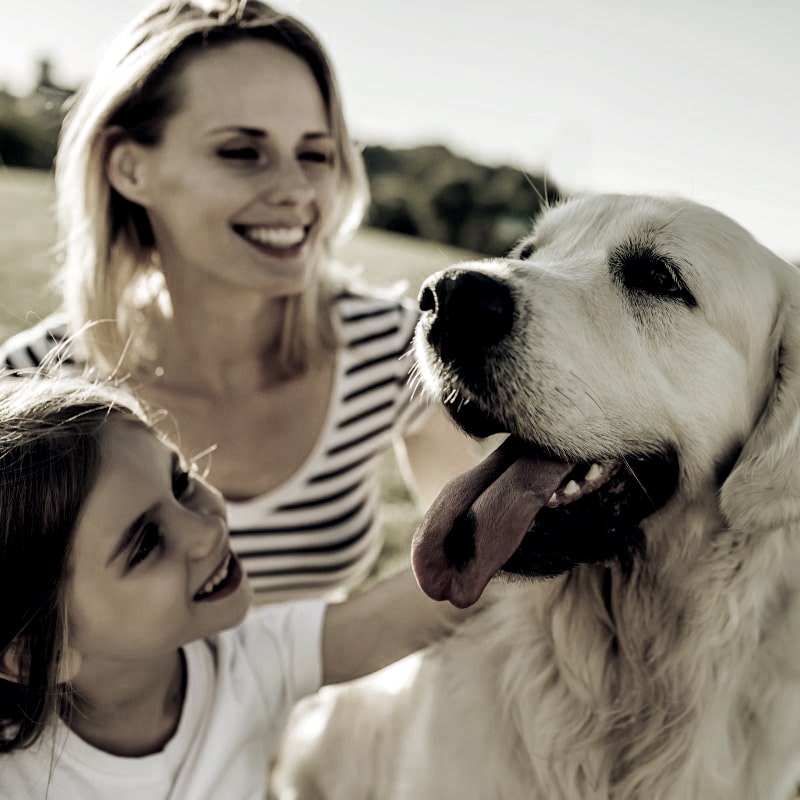 Family With Dog Outside Min